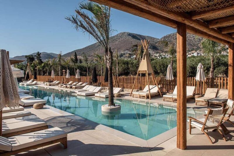 Hotel Indigo Inn Casa - Afbeelding 4