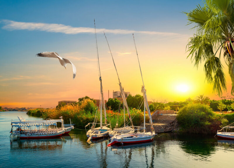 Nijlcruise 5* & Sunrise Meraki Resort 4* - Afbeelding 6