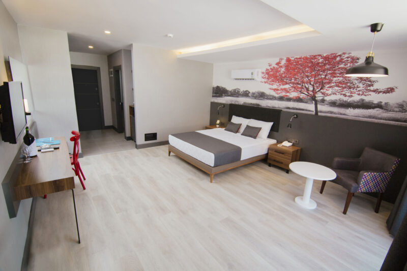 Ramira City Hotel - Afbeelding 4