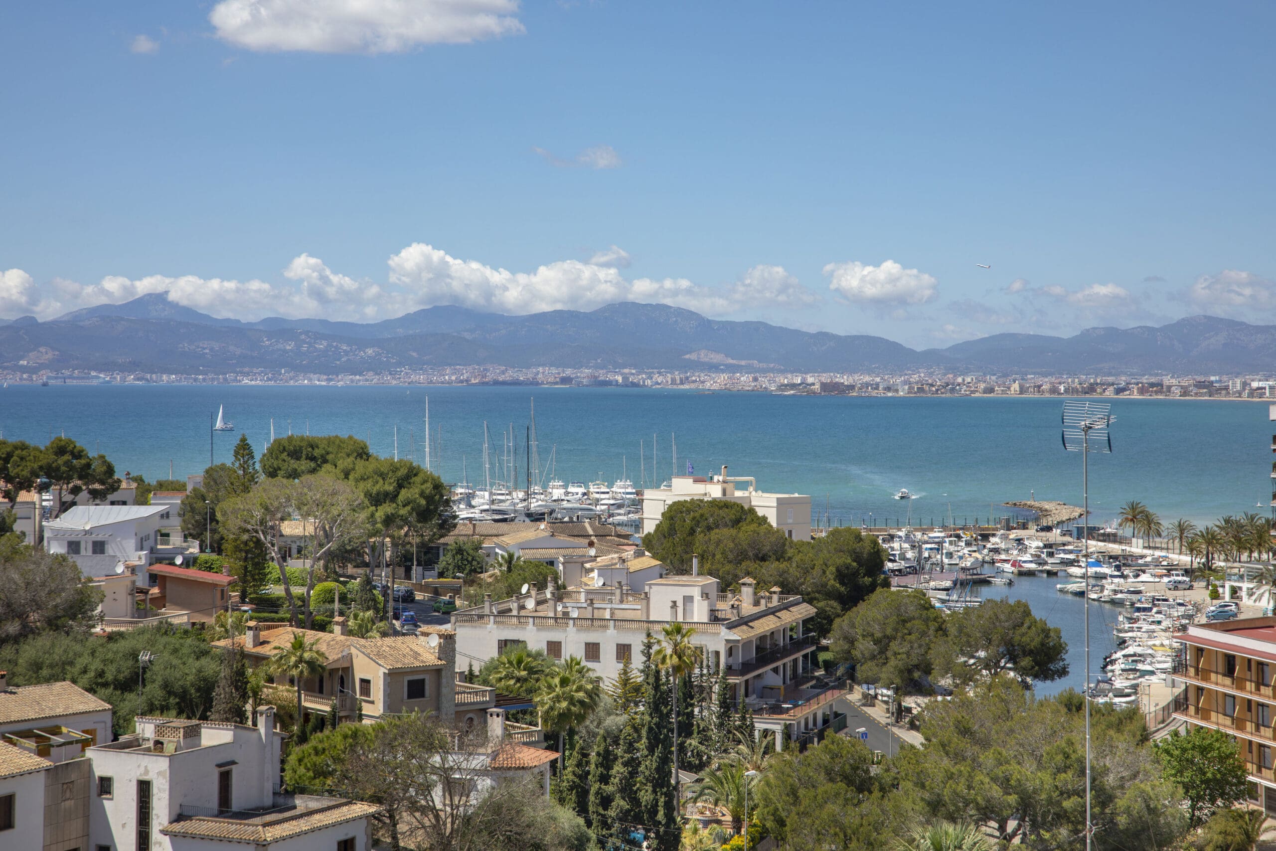 Luna & Luna Park - Afbeelding 7