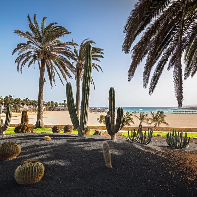 Hotel Barcelo Fuerteventura Royal Level - adults only